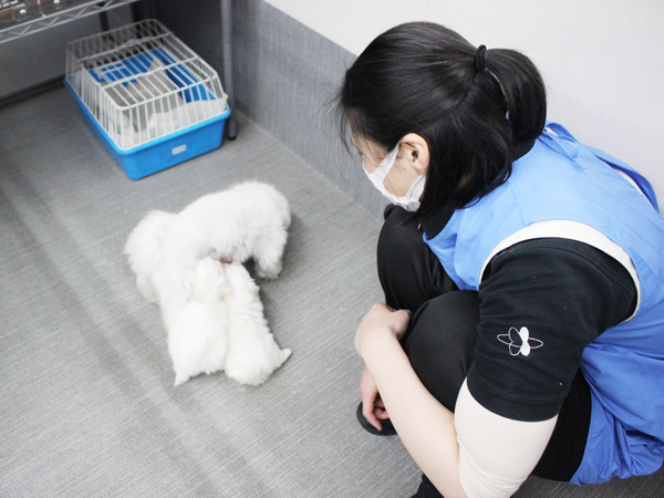 夜間部2年生、子犬のお世話♪